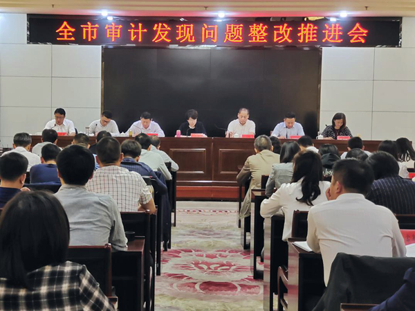 如皋市召开2020年度全市审计发现问题整改推进会(图片).jpg